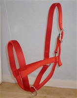 Cow Turnout Halter