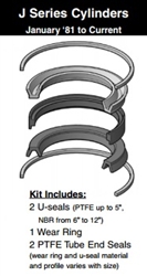 091-KB001-1000, PISTON SEAL KIT, 10" BORE, NITRILE / TEFLON (PTFE)