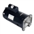 1.5 HP 56Y Single Speed Square Flange Motor