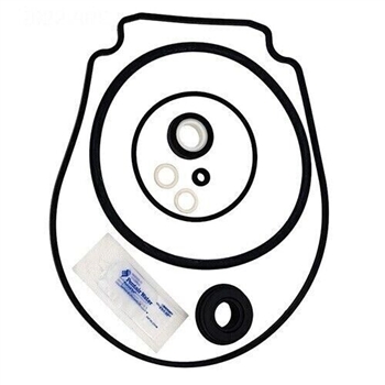 Replacement Seal Kit For © Intelliflo Pumps
