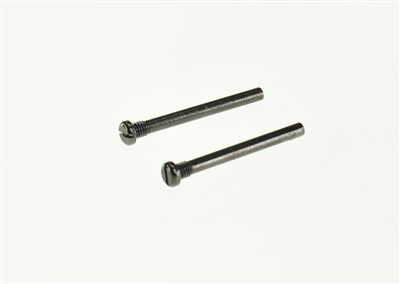 Battery Mount Screw 2.5x30 mm (2)