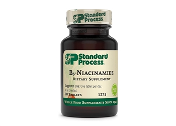 Standard Process B6-Niacinamide - 90 tablets