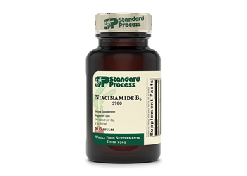 Standard Process Niacinamide B6 - 90 tablets