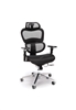 ERGO MESH OFFICE CHAIR WITH HEAD REST