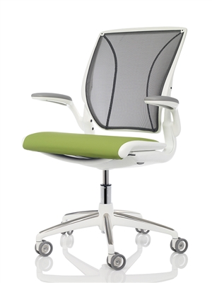 Humanscale Diffrient World Mesh Chair