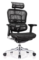 Mesh Office Chair