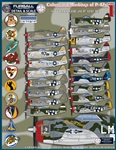 1/48 Colors & markings of P-47Ds PT I