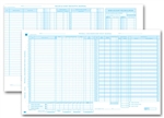 Payroll/Cash Disbursement Computer Input Journal