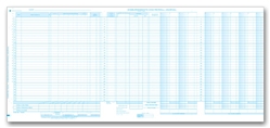 Payroll/Cash Disbursement / Sales & Cash Receipts Journal