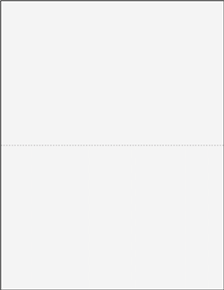 Blank W-2 – 2-Up Laser Tax Forms - with instructions
