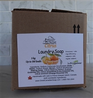 Laundry Soap Powder with Citrus in CARDBOARD BOX - 5 kg (11 lbs)
