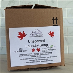 Laundry Soap Unscented Powder in CARDBOARD BOX - 5 kg (11 lbs)