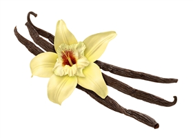 Vanilla Body Mist - 98% Natural - 10 ml (0.3 fl oz) Mini Spray Bottle