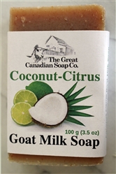 Citrus Coconut Goat's Milk Soap Rectangle Bar