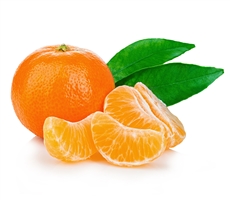 Orange Blossom Body Cream Supersize - 240 ml (8.1 fl oz)