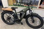 2023 Aventon Adventure 2 E-Bike green Regular