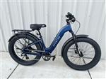 OUR BEST FAT Tire bike for the burning man event