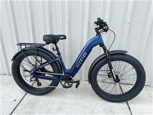 OUR BEST FAT Tire bike for the burning man event