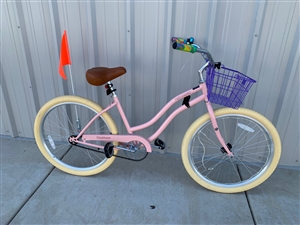 Refurbished Bicycle for the Burning Man event