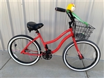 Refurbished Bicycle for the Burning Man event