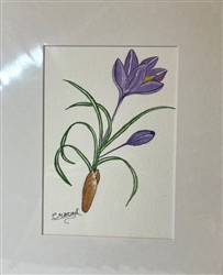 Original Watercolor 5x7" Framed FW027
