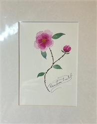 Original Watercolor 5x7" Framed FW042