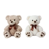 11'' PAW PRINTS TEDDY BEAR (2)