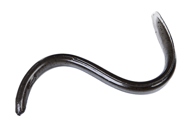 Boneyard Sly EEL