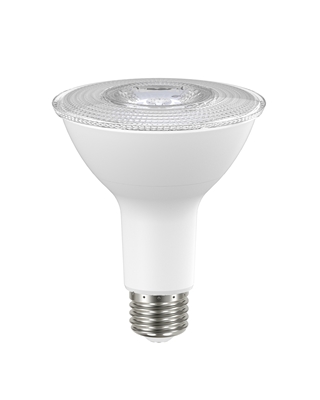 Case of 10 Par38 15W Outdoor Flood Light LED Bulbs