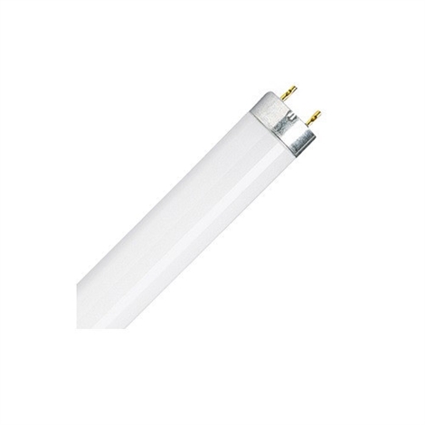 25-Pack of 25W T8 850 Color Temperature Fluorescent Lamps
