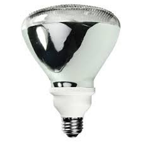 23 Watt Par38 850 Color Temperature CFL Medium Base Lamp