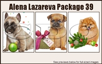 Alena Lazareva Package 39