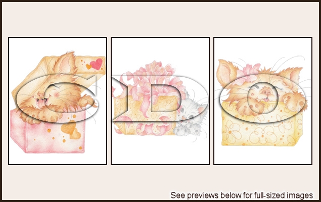 Colourbelle Package-216
