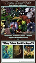 ScrapAoRK_TiffanyToland-Scott-Package-25