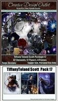ScrapFoxy_TiffanyToland-Scott-Package-17