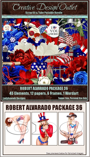 ScrapLHD_RobertAlvarado-Package-36