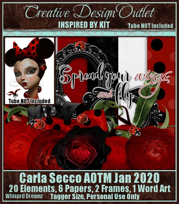 ScrapWDD_IB-CarlaSecco-January2020-AOTM