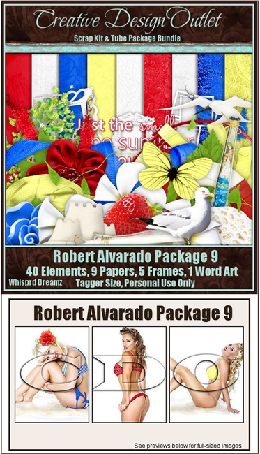 ScrapWDD_RobertAlvarado-Package-9