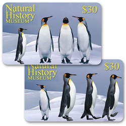 Lenticular gift card with emperor penguins dancing in the Antarctic snow, flip