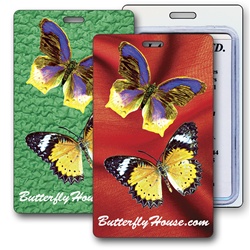 Lenticular luggage tag with large yellow butterflies, background switches from green to red, flip