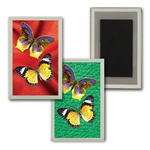 3D Magnet in Acrylic Frame with large yellow butterflies, background switches from green to red, flip