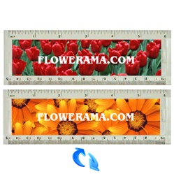 Lenticular acrylic ruler with bright red pungent bed of tulips and a close up view of golden glowing marigolds, flip