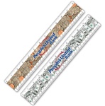 Lenticular PET 12" MI ruler with United States of America USA money, currency, dollars and coins, flip