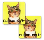 Lenticular sticker with custom design, Eukanuba cat food, kitten tilts head side to side with green eyes, flip