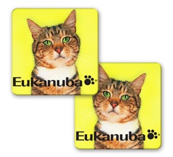 Lenticular sticker with custom design, Eukanuba cat food, kitten tilts head side to side with green eyes, flip