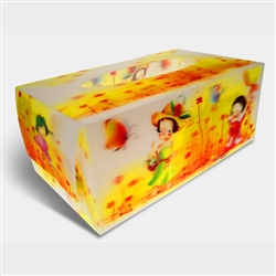 3D Tissue Boxes Lenticular Retail Packaging Design