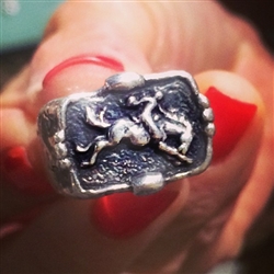 Bronc Ring