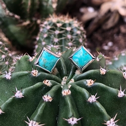 Turquoise Diamond Dot Earrings - 6mm