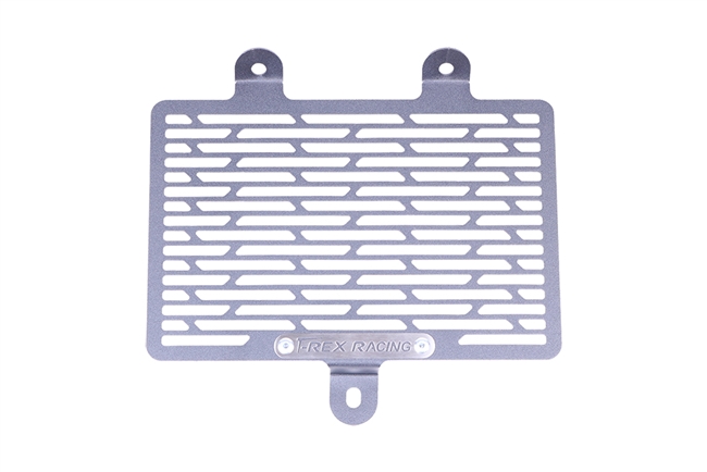T-Rex Racing 2024 BMW R 12 / R 12 nineT Radiator Guards
