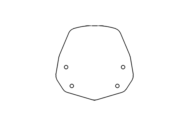 T-Rex Racing 2018 - 2026 BMW G 310 R Windshield